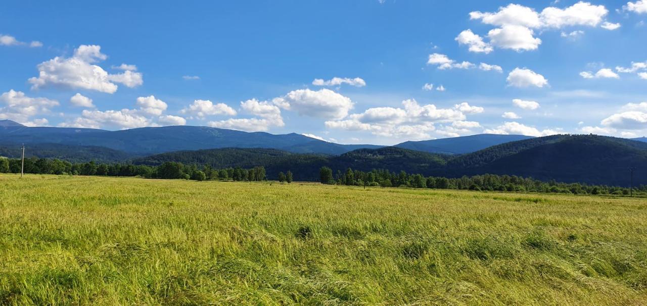 Apartament Wita Stwosza Jelenia Góra Zewnętrze zdjęcie