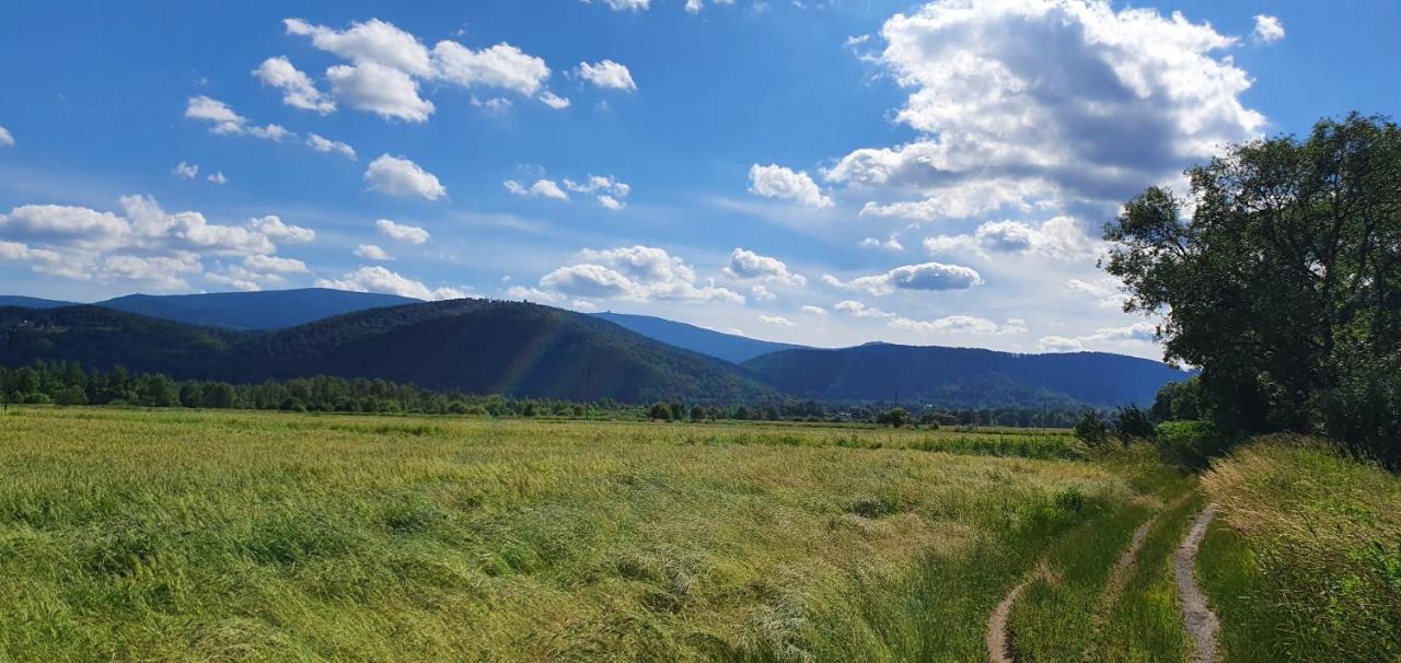 Apartament Wita Stwosza Jelenia Góra Zewnętrze zdjęcie